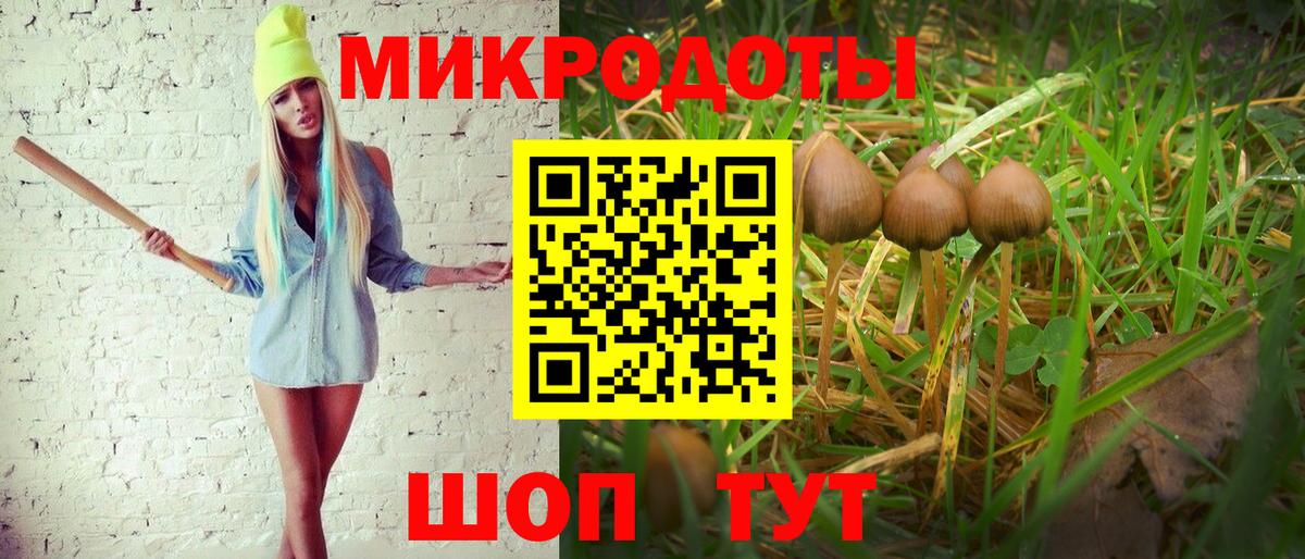 Псилоцибиновые грибы Psilocybe  Вход с VPN  Зеленокумск 