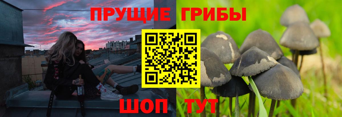 Псилоцибиновые грибы Magic Shrooms Зеленокумск